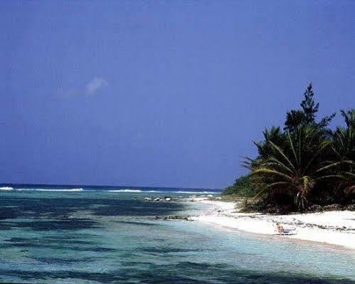 Paradise Villas Blossom Village Esterno foto